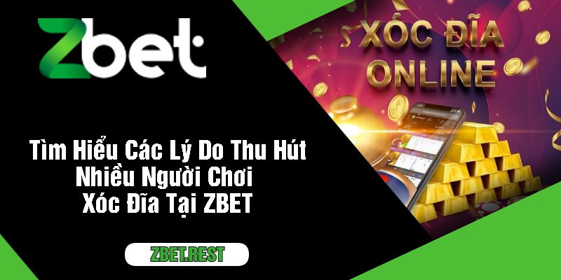 Tìm Hiểu Các Lý Do Thu Hút Nhiều Người Chơi Xóc Đĩa Tại ZBET